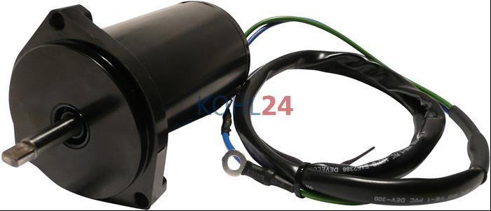 E-Motor Yamaha F50 F60 50 PS 60 PS 6C5-43880-00-00 6C5-4380-01-00 12 Volt