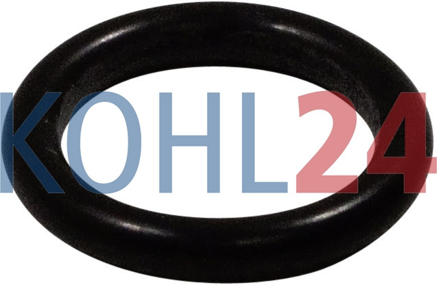 O-Ring Bosch 1420210048 1900210106 Original Bosch