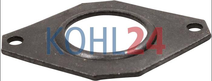 Abdeckplatte für Lichtmaschinen der 0101206...-Serie 0101209...-Serie 0101212...-Serie 0120400...-Serie 0120489...-Serie Bosch 1100551010 DMS88/2X823 Original Bosch