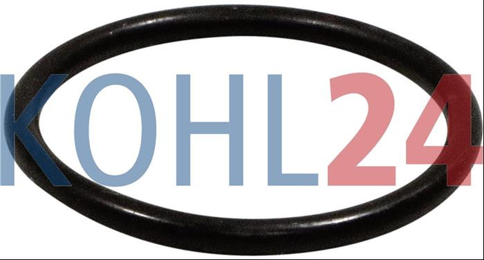 Dichtring Bosch 1900210321 Original Bosch