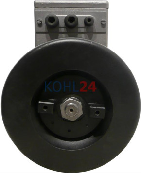 Lichtmaschine MWM-Diesel Bosch 0101601090 0101601160 LJ/GTL700/24/975AR24 LJ/GTL700/24/975R24 24 Volt 42 Ampere Reparatur Made in Germany