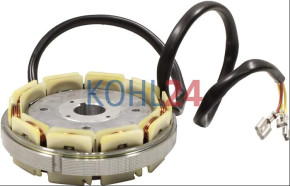 Stator Lichtmaschine Lombardini ED0011571580 Saprisa 3325 14 Volt 16 Ampere Original Saprisa