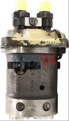 Einspritzpumpe Bosch PFR2A65/75 Reparatur Made in Germany