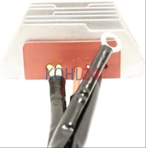 Regler/Gleichrichter Hatz 1B20 1B30 1B40 1B50 1D41 1D50 1D60 1D70 1D81 1D90 2G30 2G40 usw. Ducati energia 343650 34365004 348650 Saprisa 4491 12 Volt 30 Ampere Original Saprisa