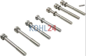 Schraube für DC-Motor MM73 Iskra Letrika 16.908.943 Mahle MMX978KIT Original Iskra Letrika (Mahle)